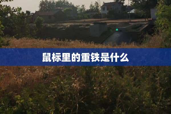 鼠标里的重铁是什么