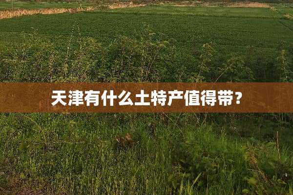 天津有什么土特产值得带？