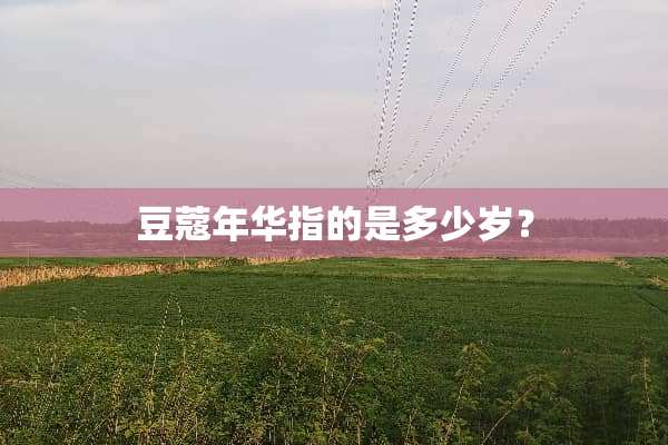 豆蔻年华指的是多少岁？