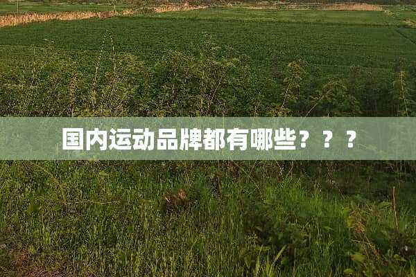 国内运动品牌都有哪些？？？