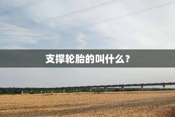支撑轮胎的叫什么？