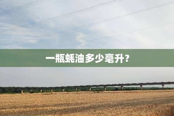一瓶蚝油多少毫升？
