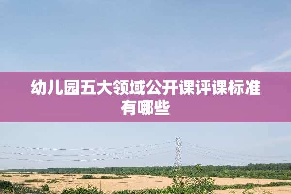 幼儿园五大领域公开课评课标准有哪些
