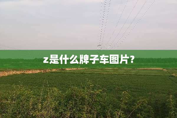 z是什么牌子车图片？