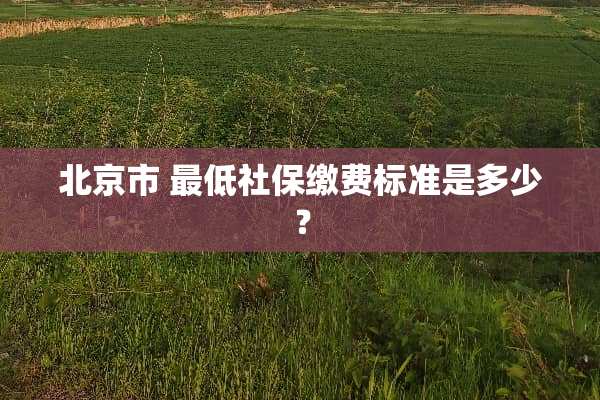 北京市 最低社保缴费标准是多少？