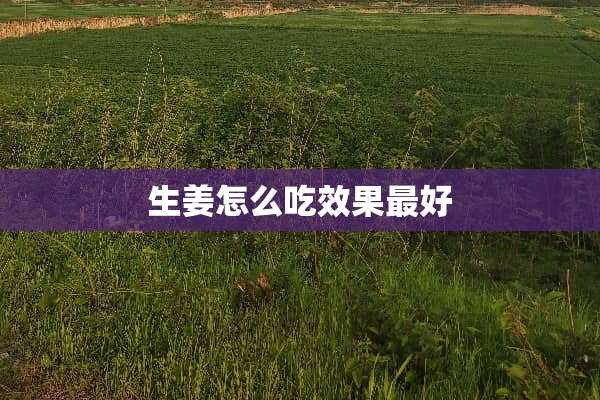 生姜怎么吃效果最好