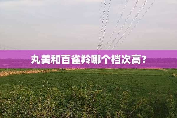丸美和百雀羚哪个档次高？