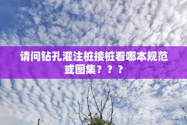 请问钻孔灌注桩接桩看哪本规范或图集？？？