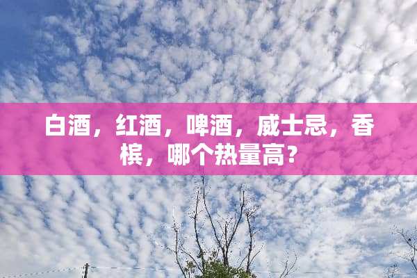 白酒，红酒，啤酒，威士忌，香槟，哪个热量高？