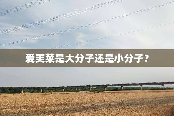 爱芙莱是大分子还是小分子？