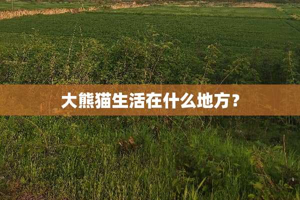 大熊猫生活在什么地方？