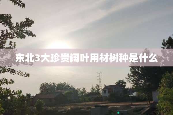 东北3大珍贵阔叶用材树种是什么