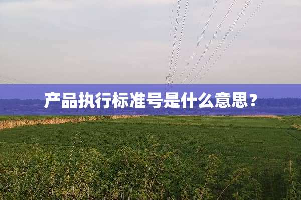 产品执行标准号是什么意思？