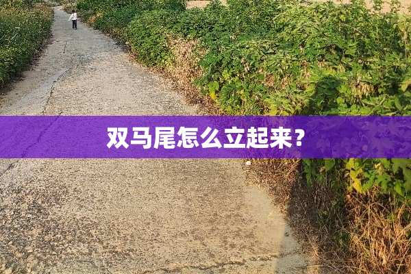 双马尾怎么立起来？