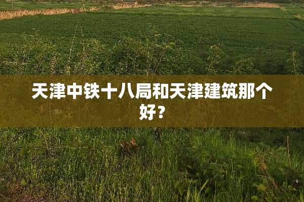 天津中铁十八局和天津建筑那个好？