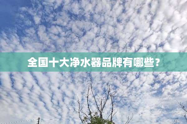 全国十大***品牌有哪些？