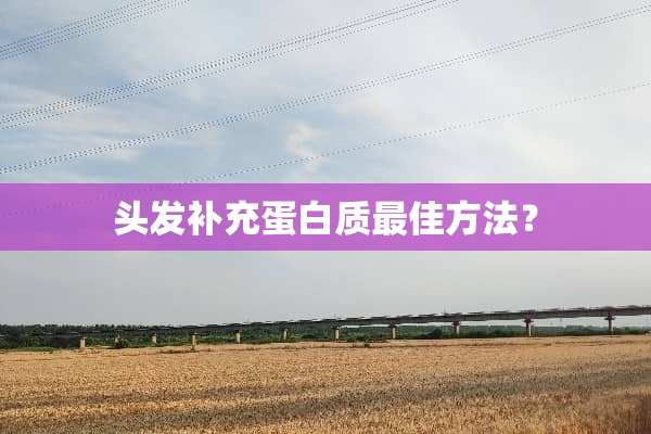 头发补充蛋白质最佳方法？