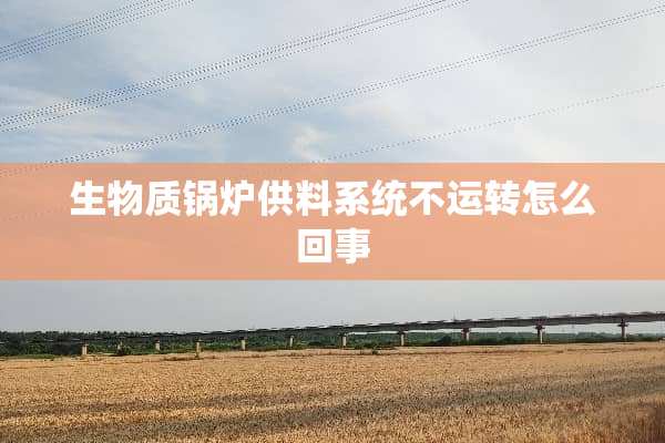 生物质锅炉供料系统不运转怎么回事