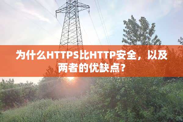 为什么HTTPS比HTTP安全，以及两者的优缺点？