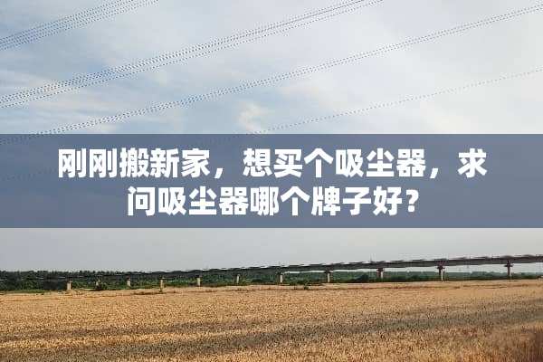刚刚搬新家，想买个吸尘器，求问吸尘器哪个牌子好？