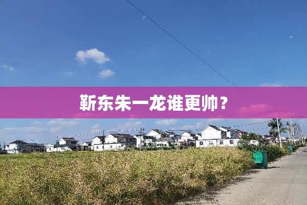 靳东朱一龙谁更帅？