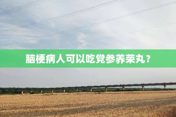 脑梗病人可以吃*参养荣丸？
