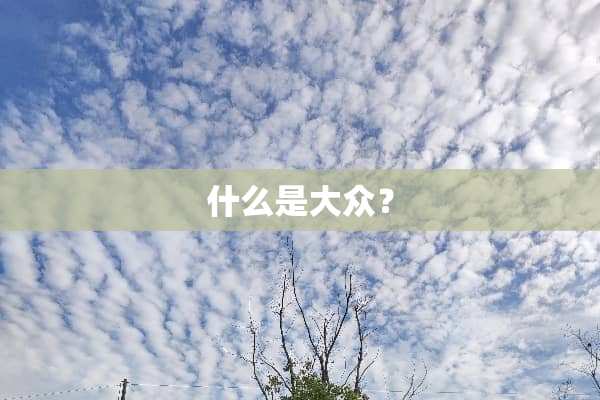 什么是大众？