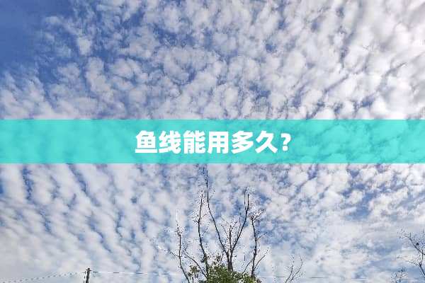 鱼线能用多久？