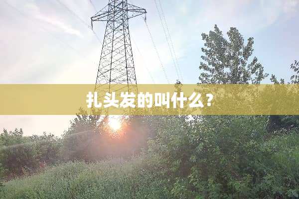 扎头发的叫什么？