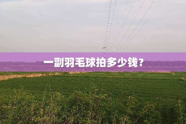 一副羽毛球拍多少钱？
