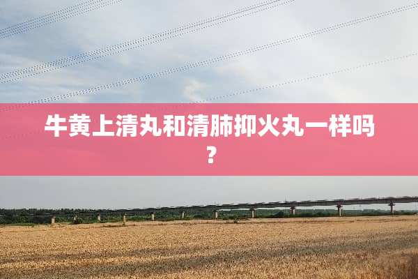 牛黄上清丸和清肺抑火丸一样吗？
