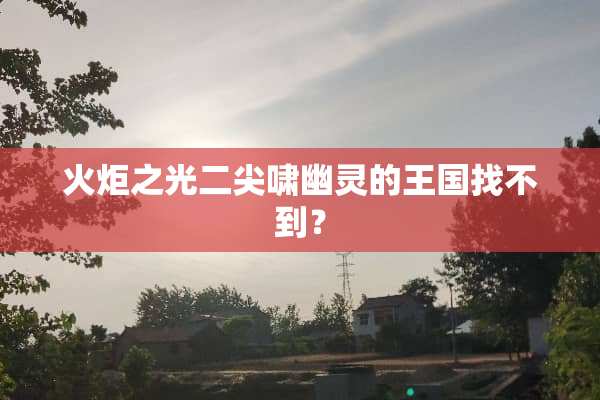 火炬之光二尖啸幽灵的王国找不到？