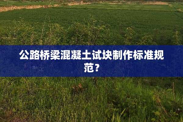 公路桥梁混凝土试块制作标准规范？