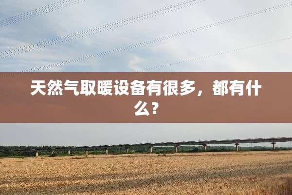天然气取暖设备有很多，都有什么？