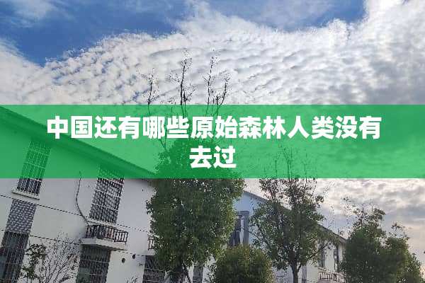 中国还有哪些原始森林人类没有去过