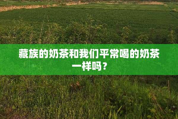 藏族的奶茶和我们平常喝的奶茶一样吗？