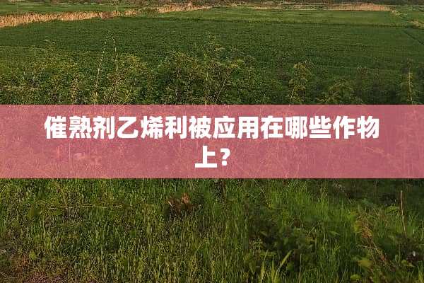 催熟剂乙烯利被应用在哪些作物上？