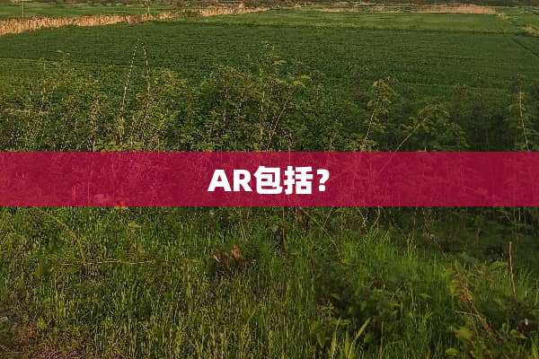 AR包括？