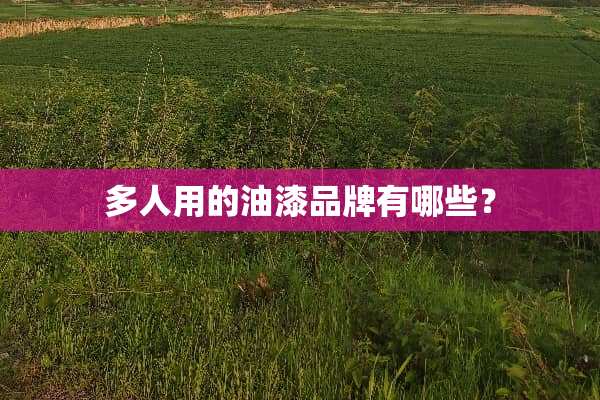 多人用的油漆品牌有哪些？