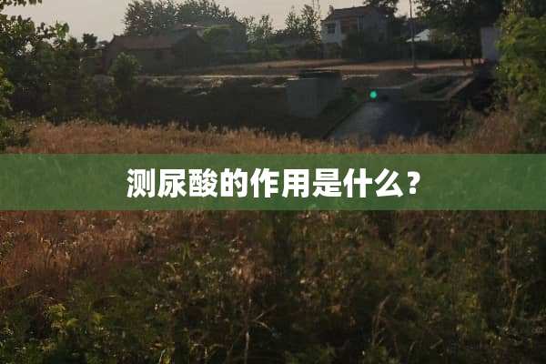测尿酸的作用是什么？