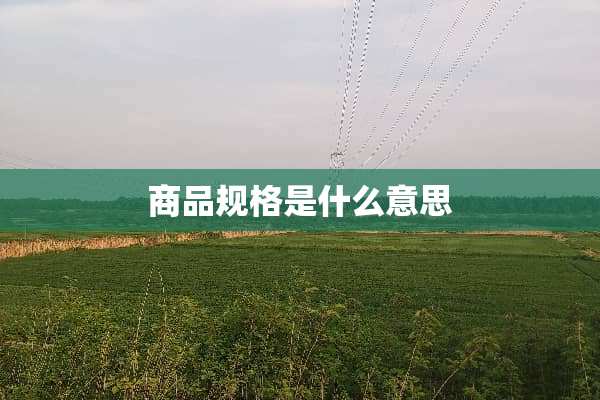 商品规格是什么意思