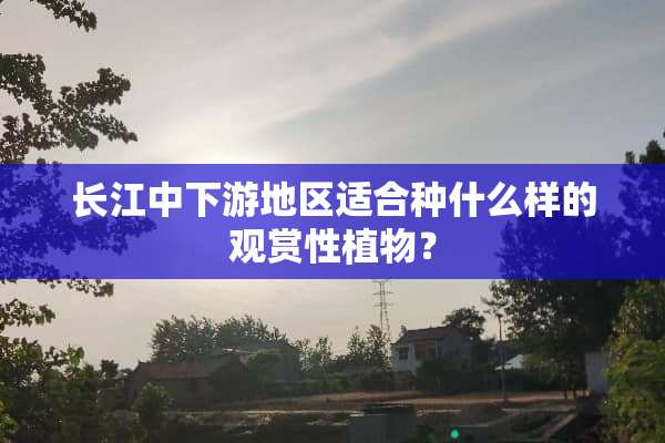 长江中下游地区适合种什么样的观赏性植物？