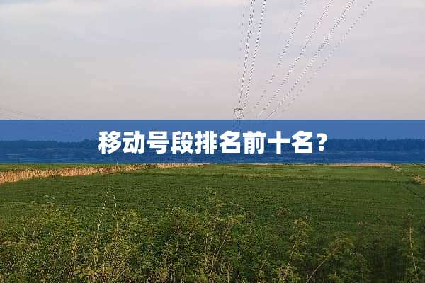 移动号段排名前十名？
