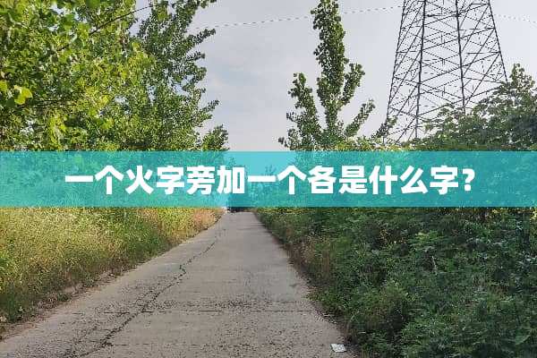 一个火字旁加一个各是什么字？