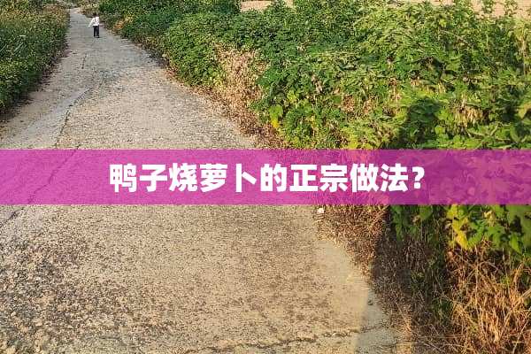 鸭子烧萝卜的正宗做法？