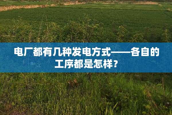 电厂都有几种发电方式——各自的工序都是怎样？