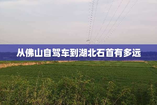 从佛山自驾车到湖北石首有多远