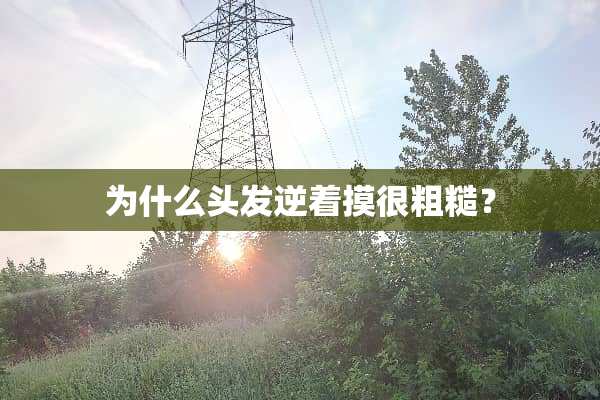 为什么头发逆着摸很粗糙？