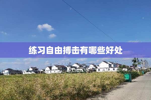 练习自由搏击有哪些好处