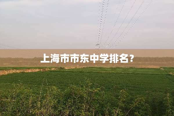 上海市市东中学排名？